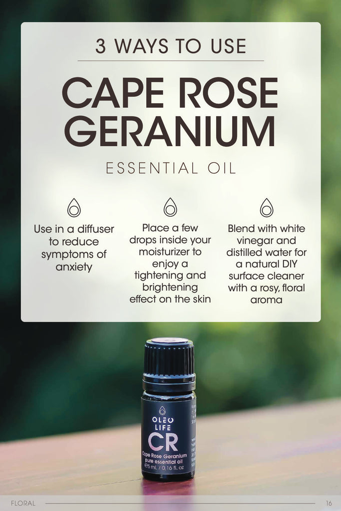 Organic Cape Rose Geranium Essential Oil