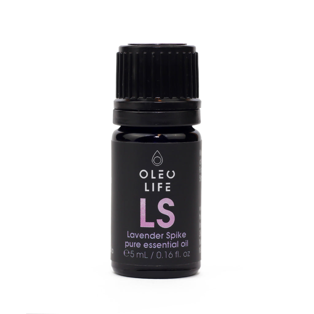 Organic Lavender Spike Essential Oil